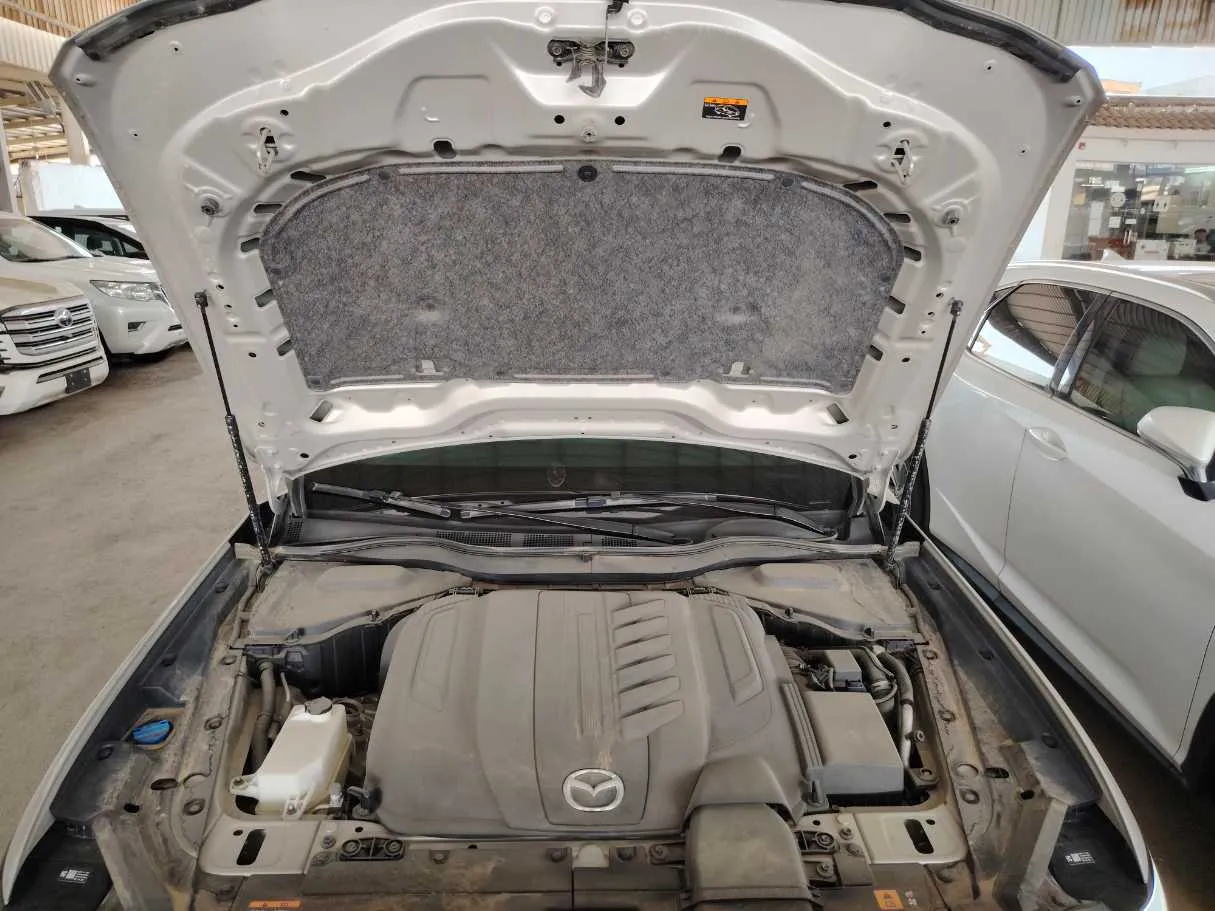 Car image 38