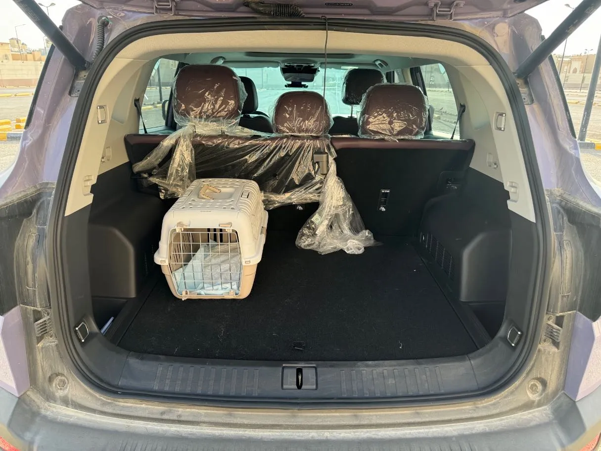 Car image 19