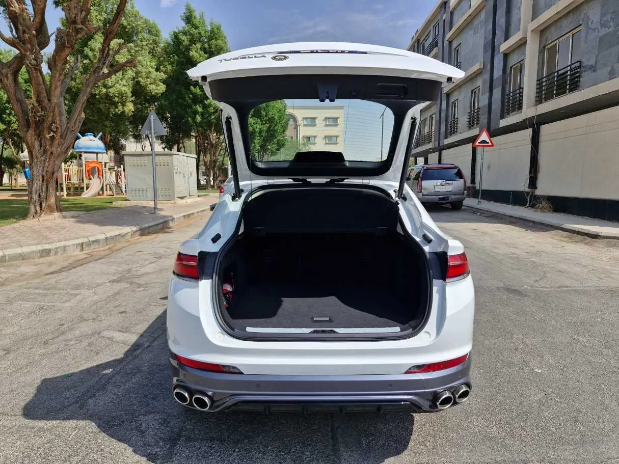 Car image 20