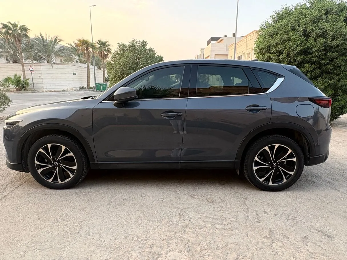 Car image 6