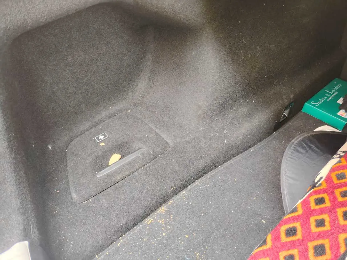 Car image 43