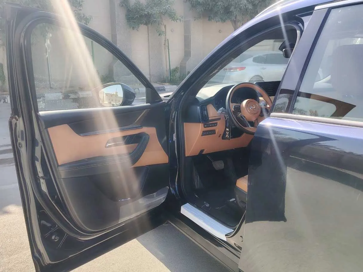 Car image 10