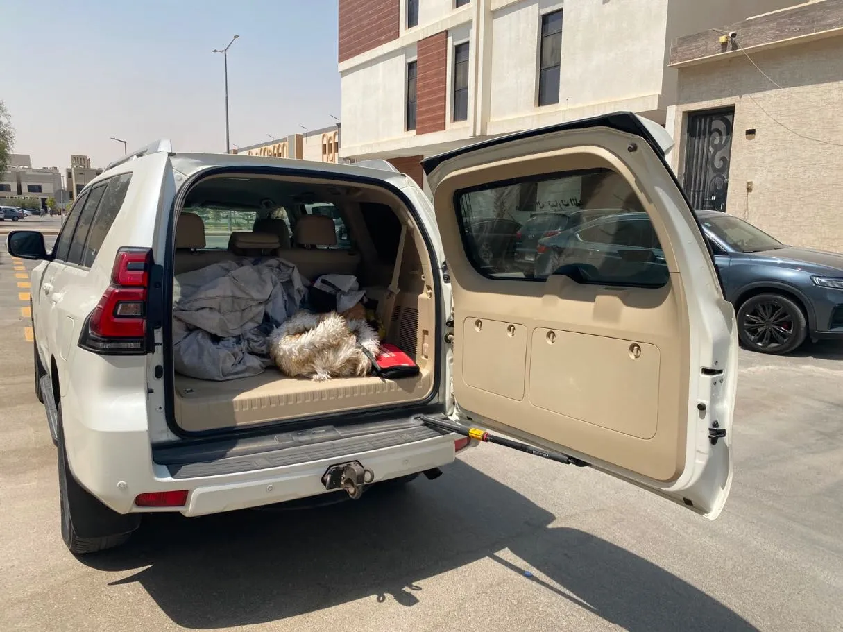 Car image 20
