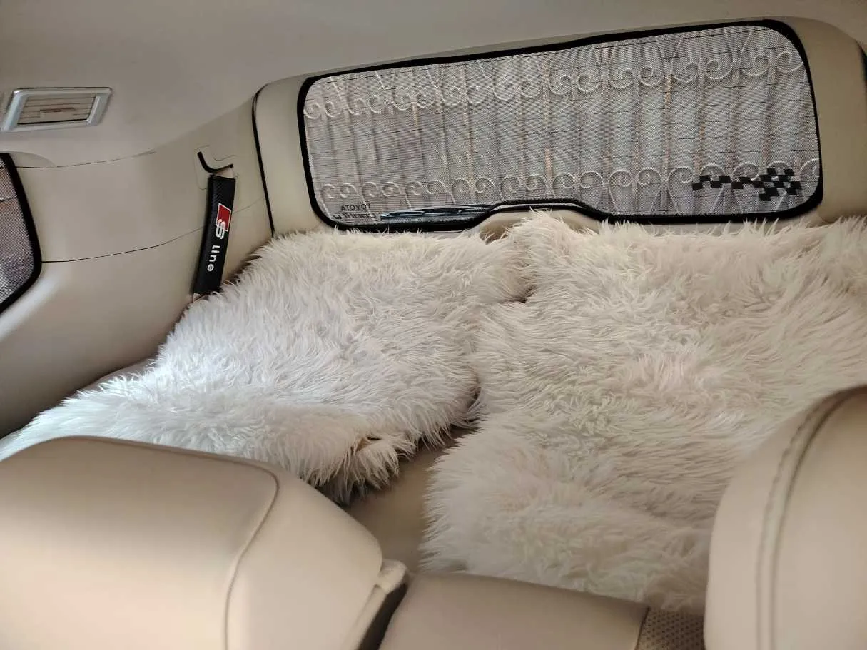 Car image 38