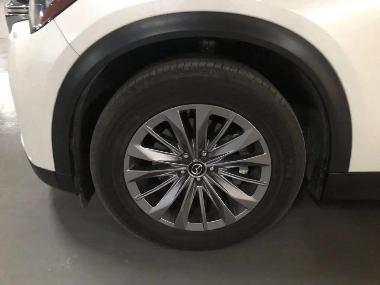 Car image 10