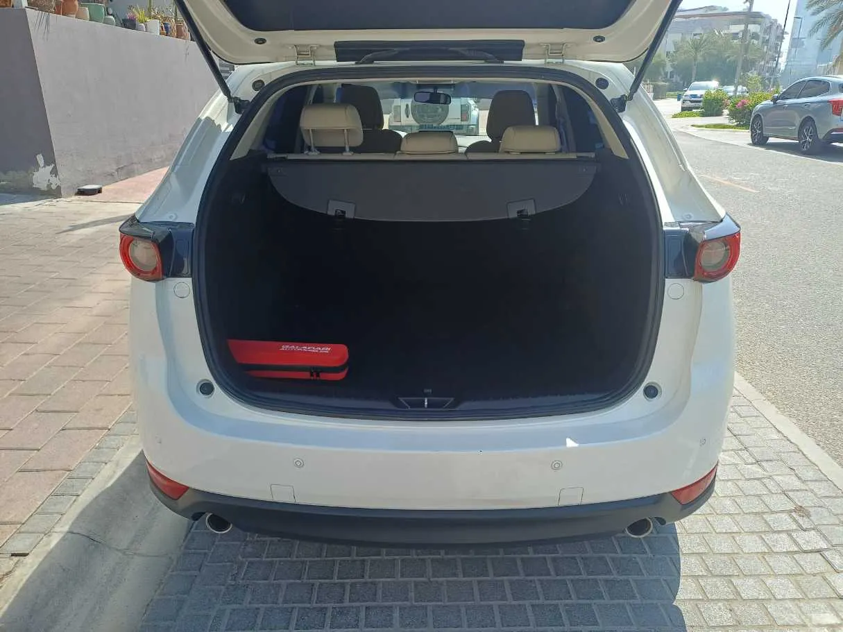 Car image 19