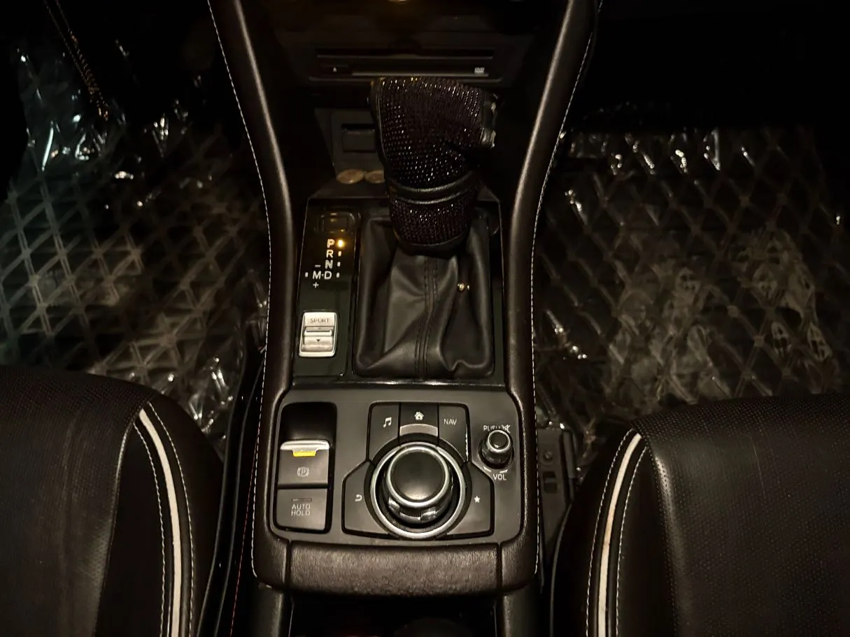 Car image 19