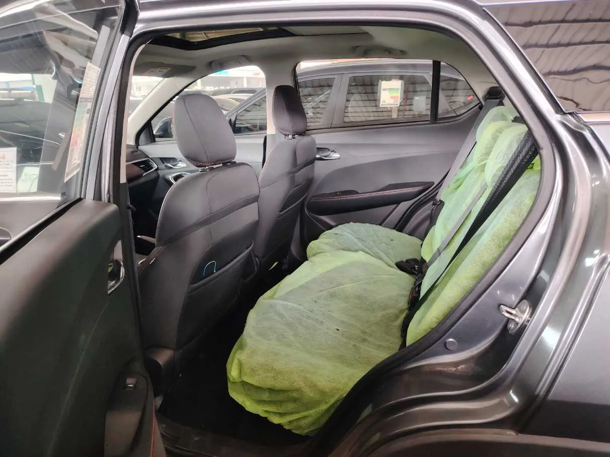 Car image 20