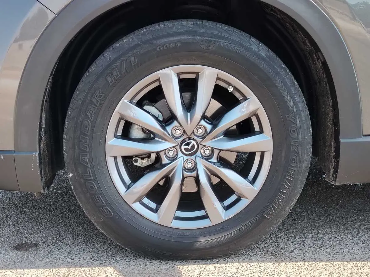 Car image 11