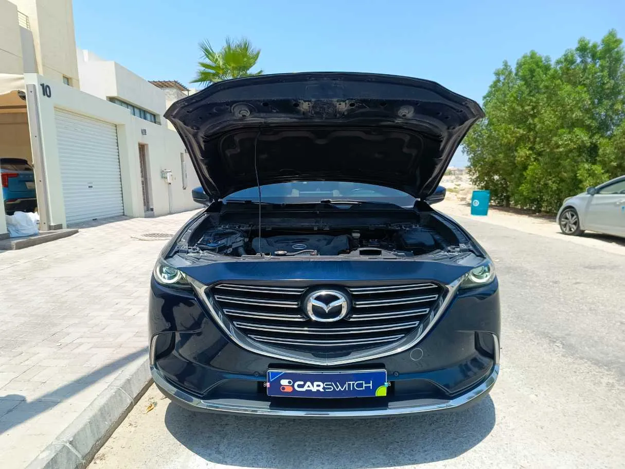 Car image 39