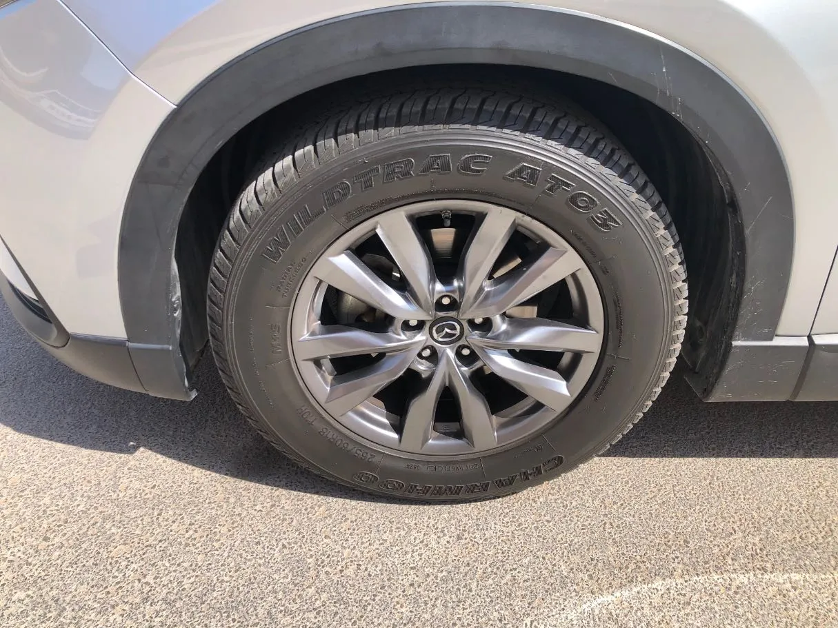 Car image 10