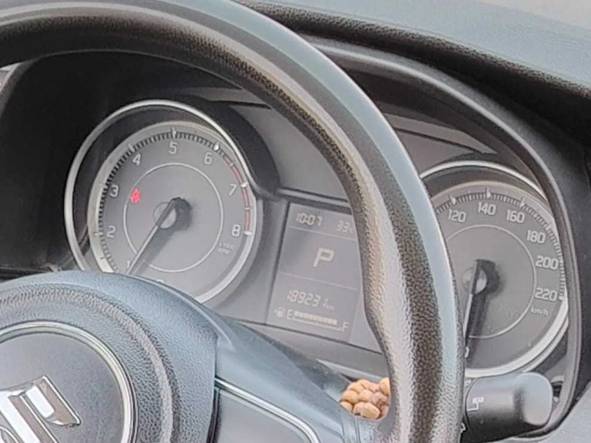 Car image 23