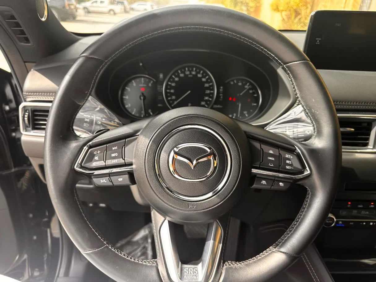 Car image 19