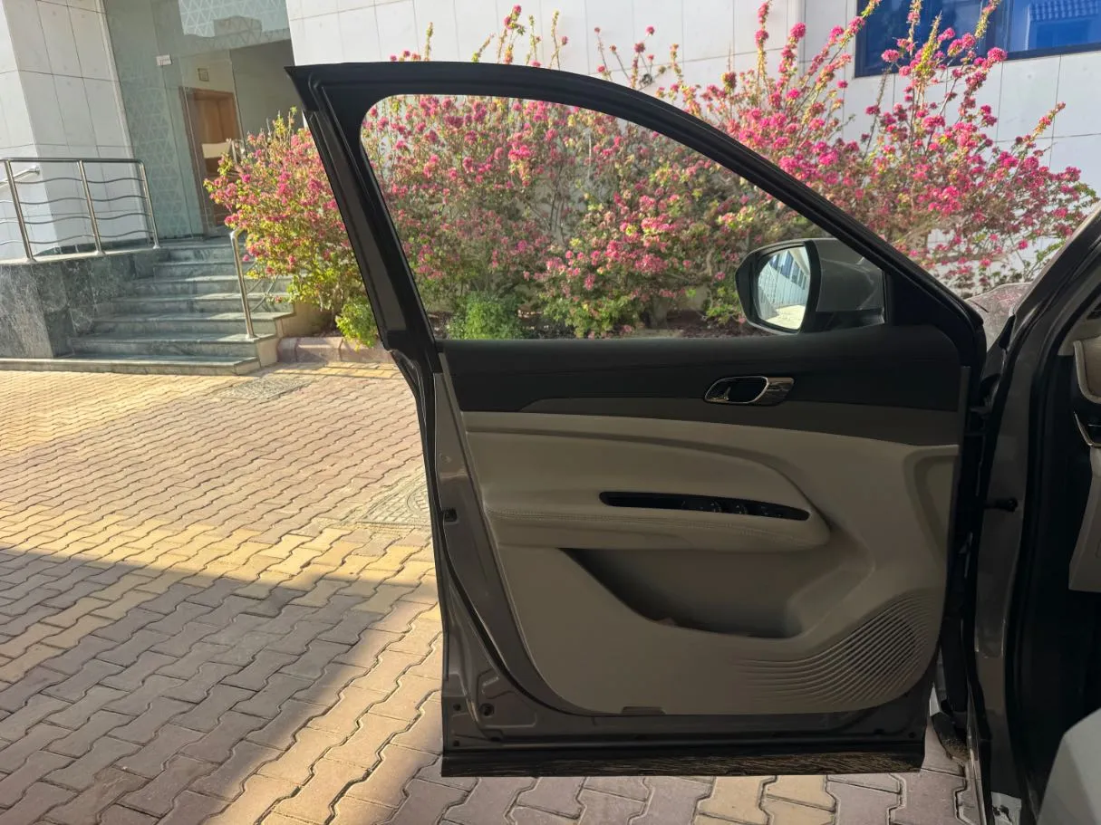 Car image 10