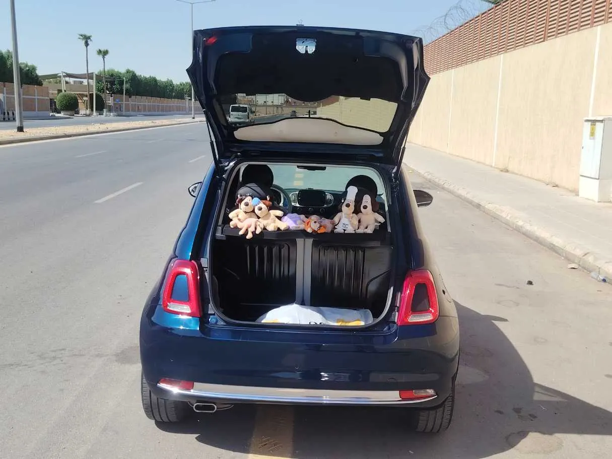 Car image 20