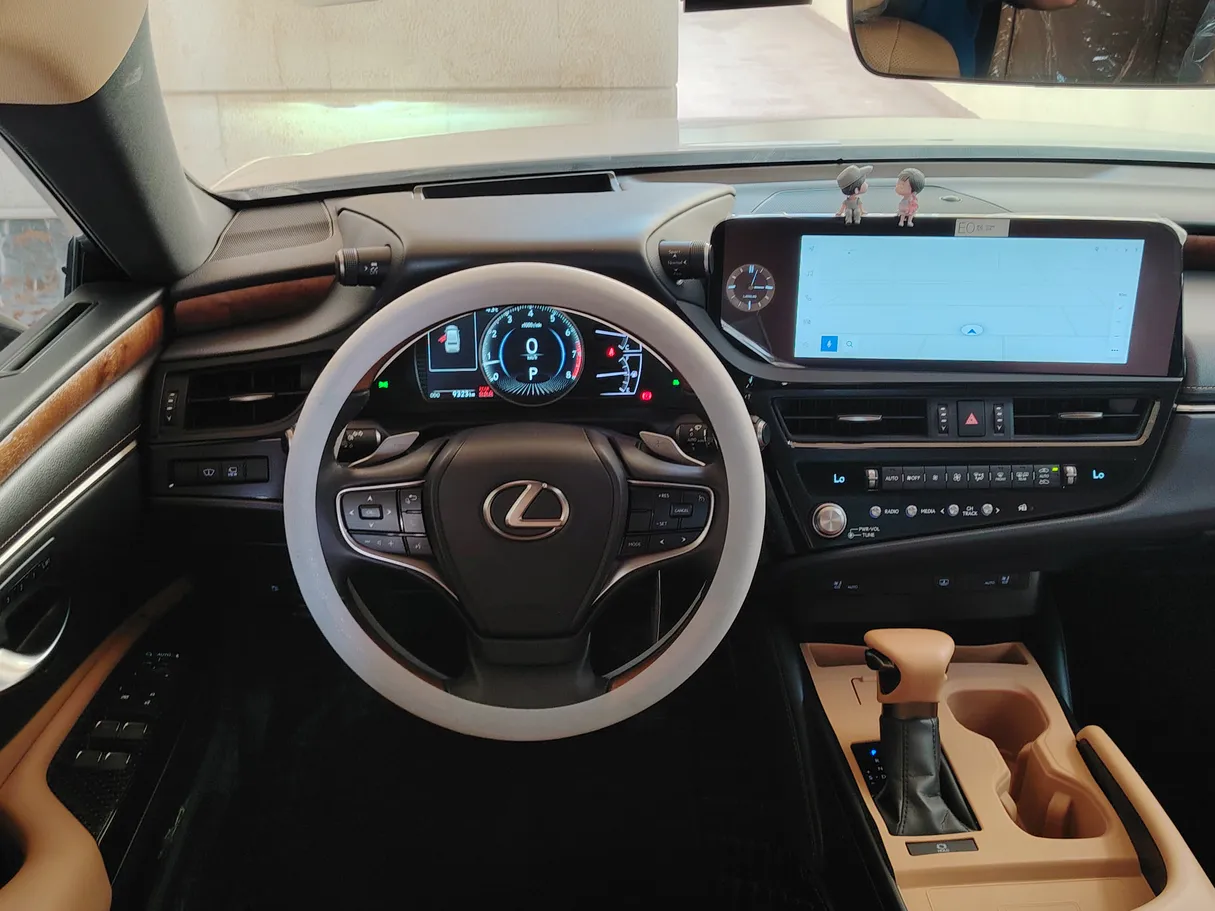Car image 25