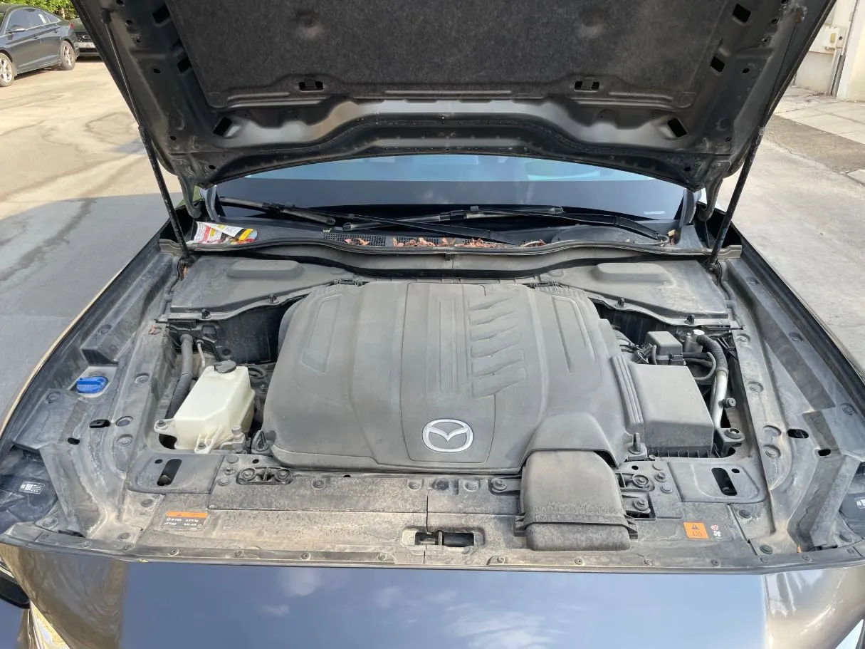 Car image 28