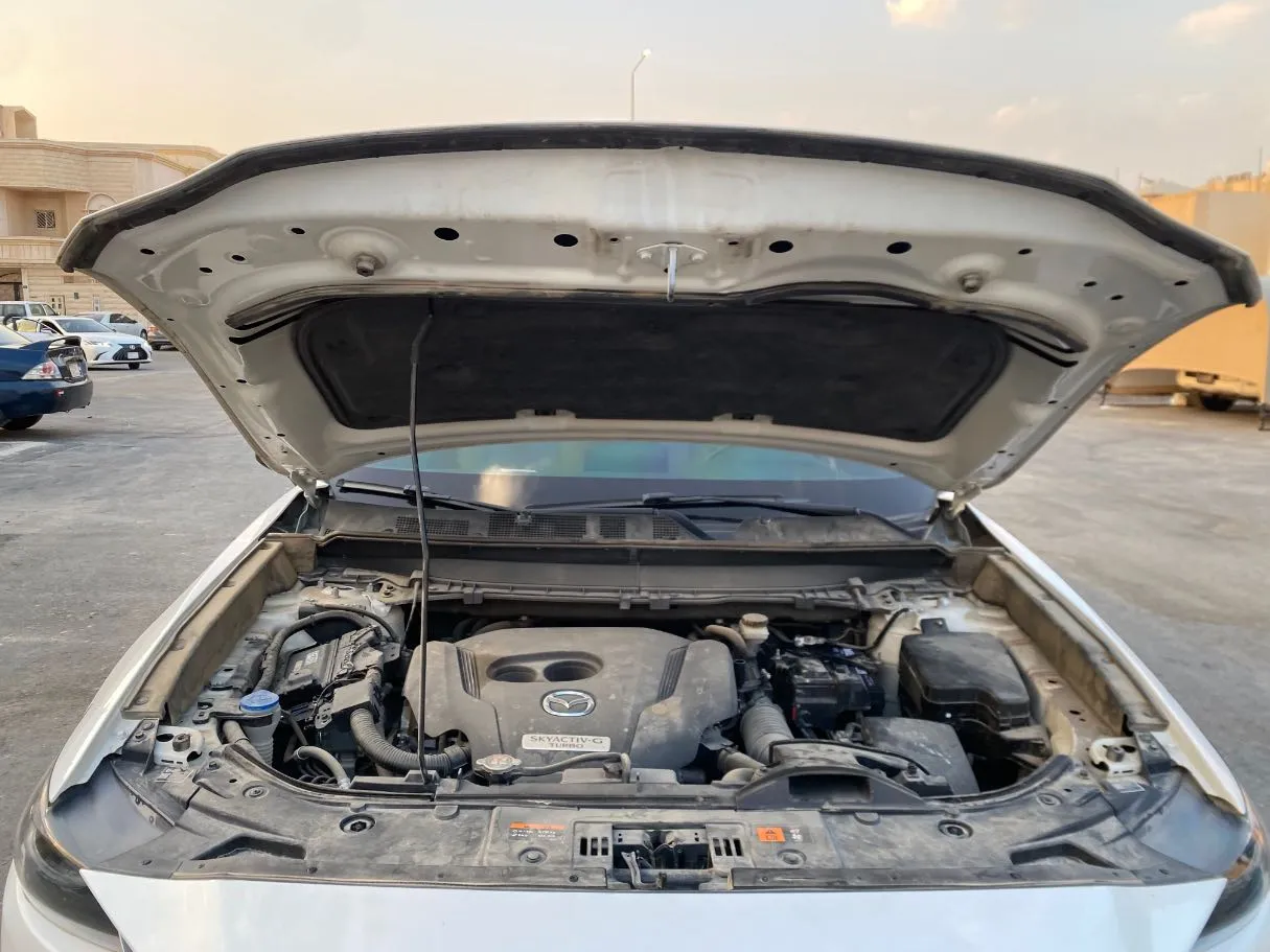 Car image 29
