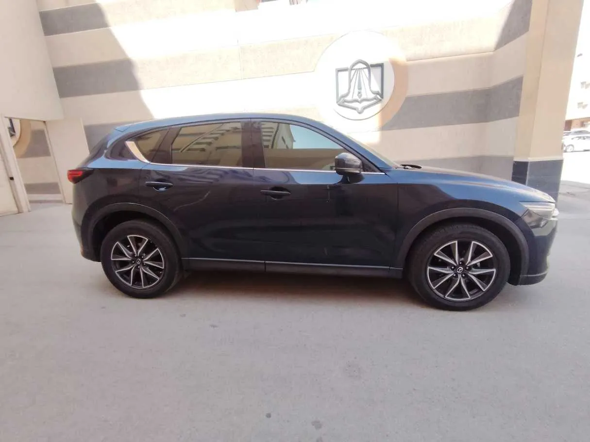 Car image 4