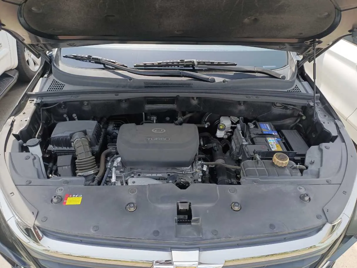 Car image 20