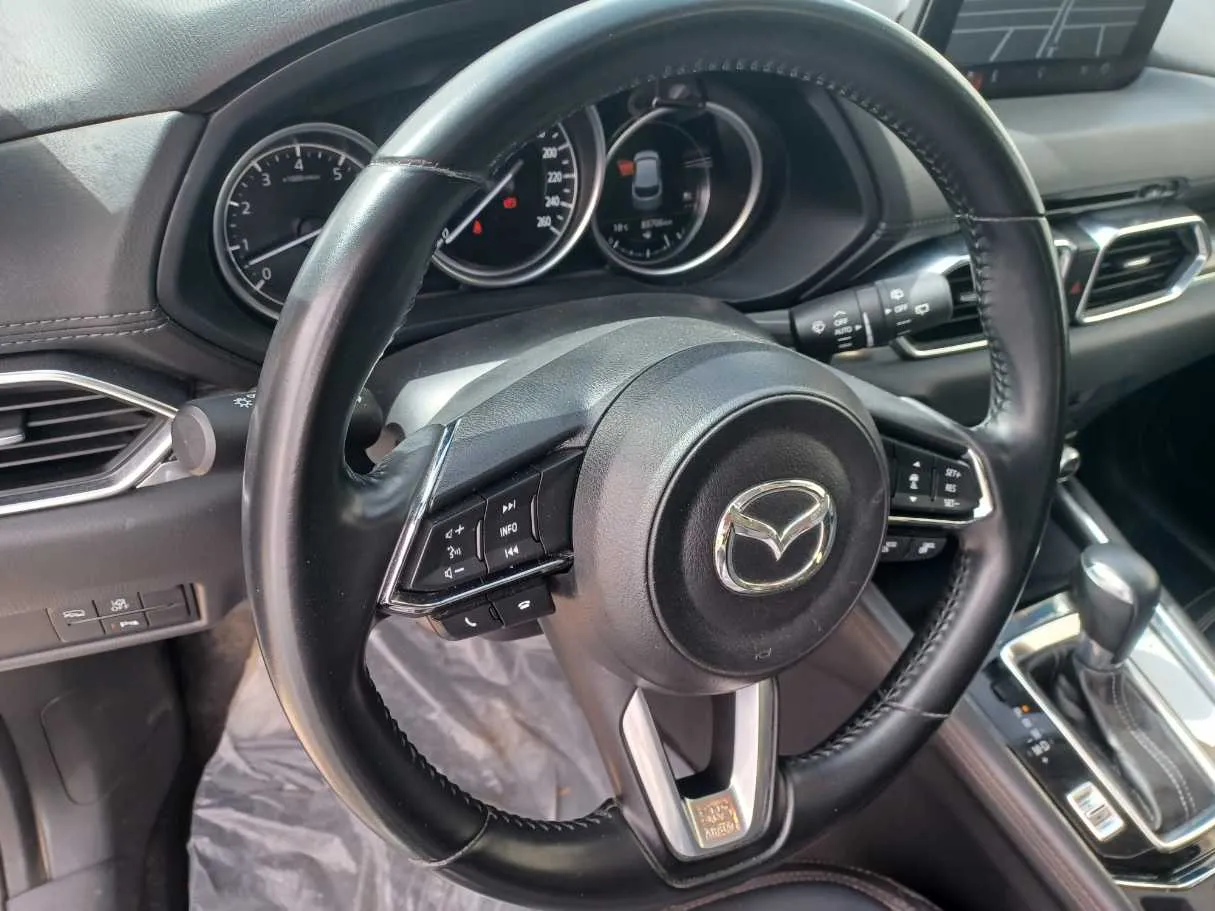 Car image 19