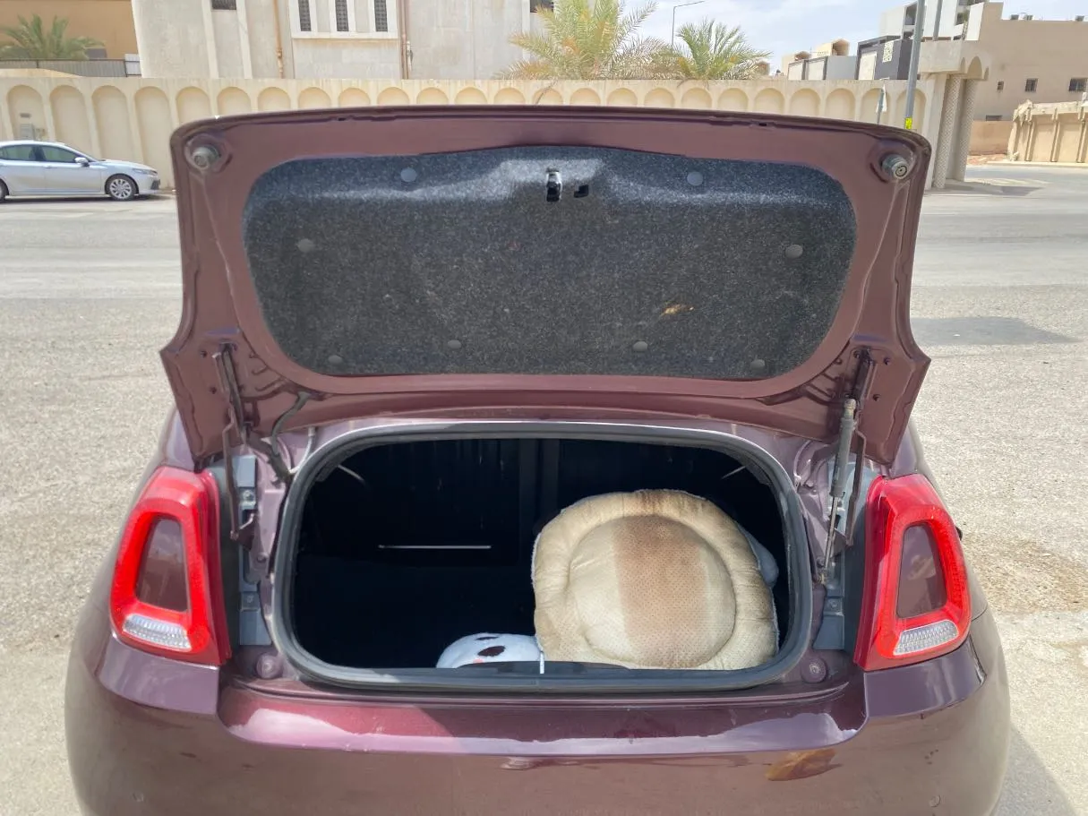 Car image 19