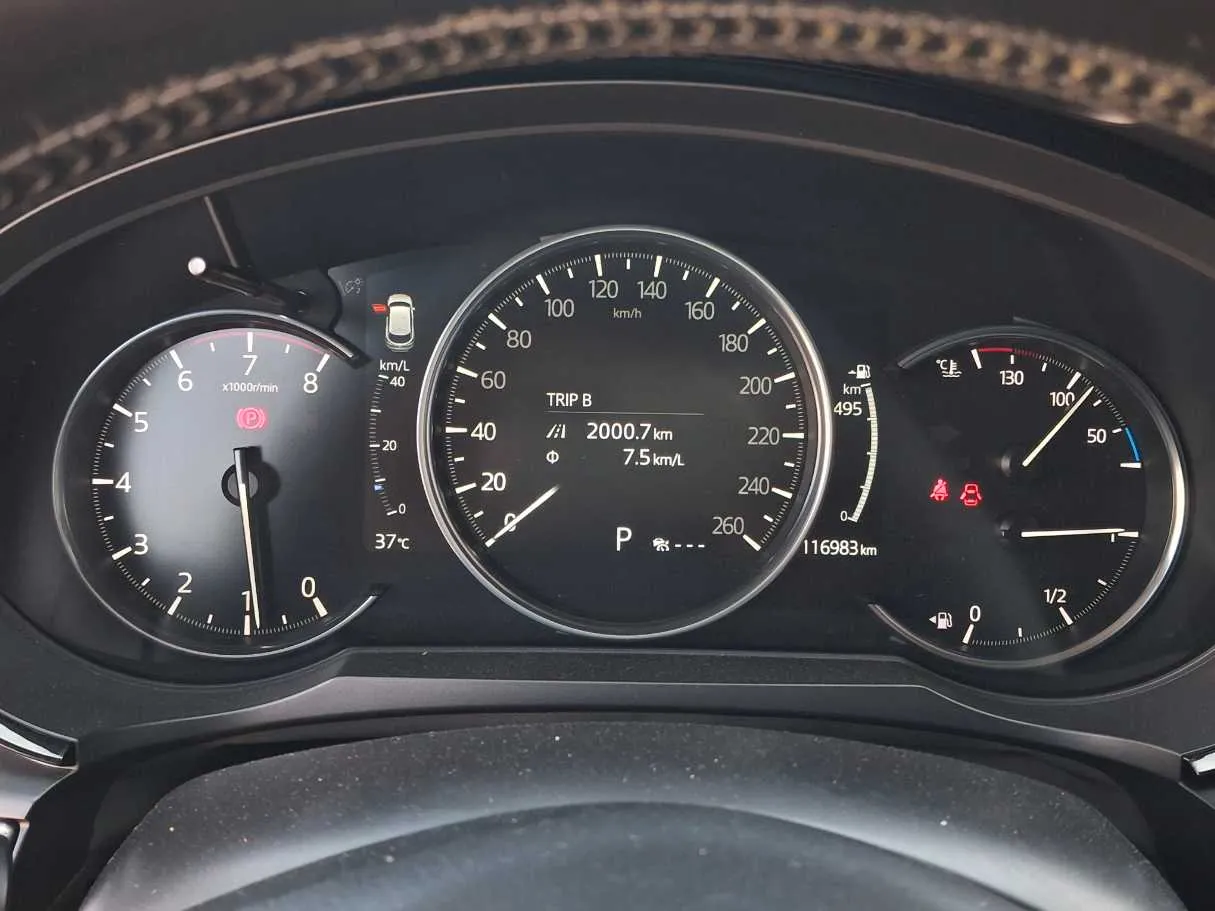 Car image 18