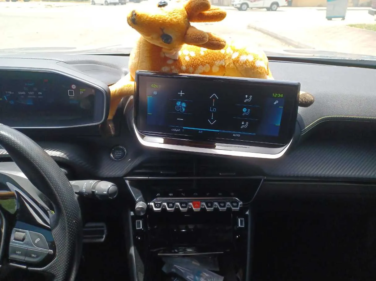 Car image 10