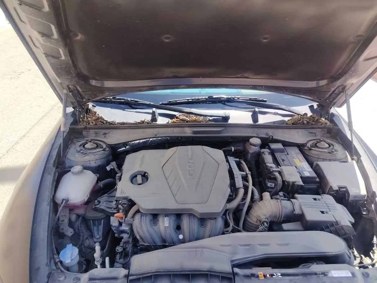 Car image 36