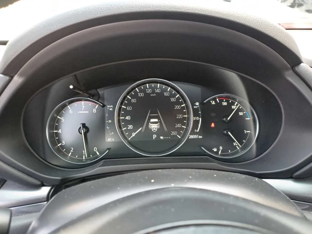 Car image 19