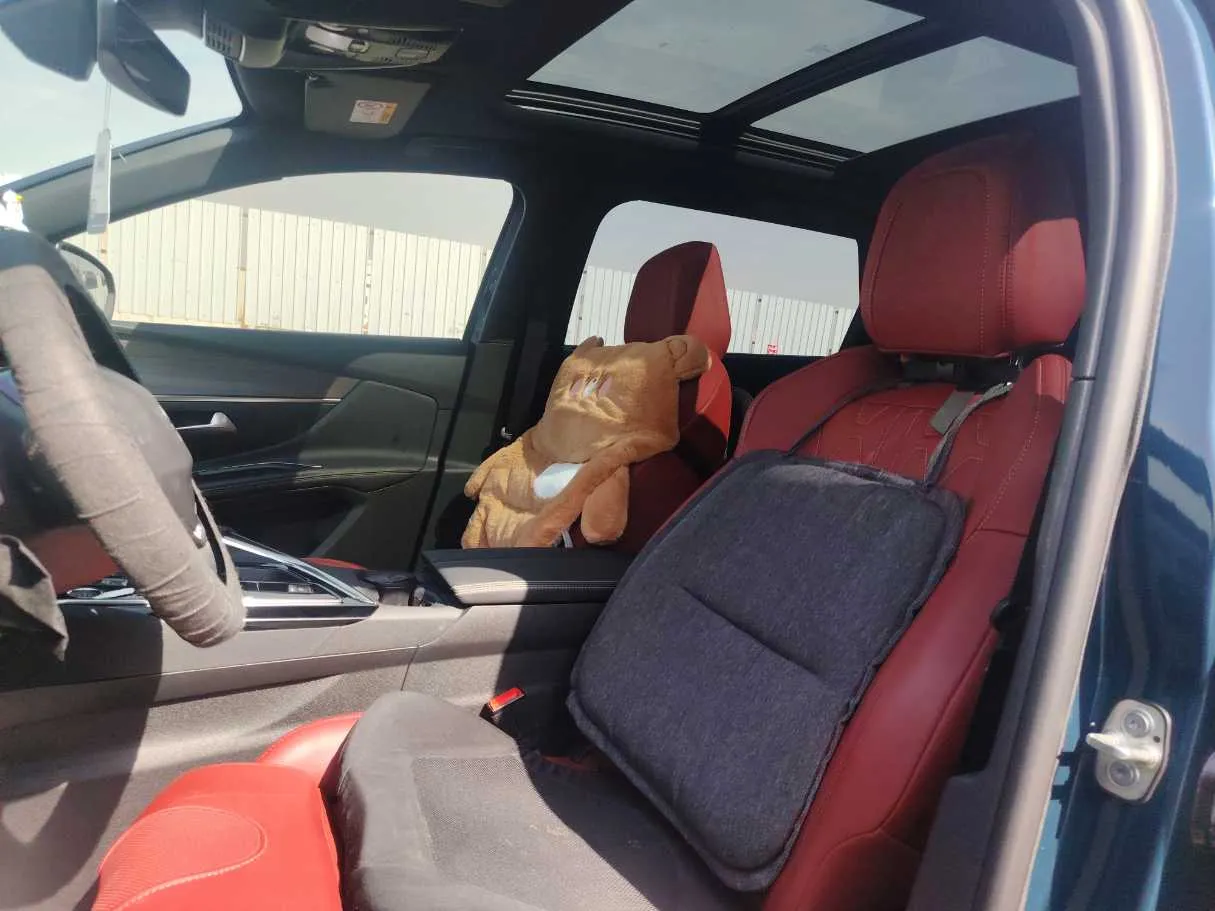 Car image 12