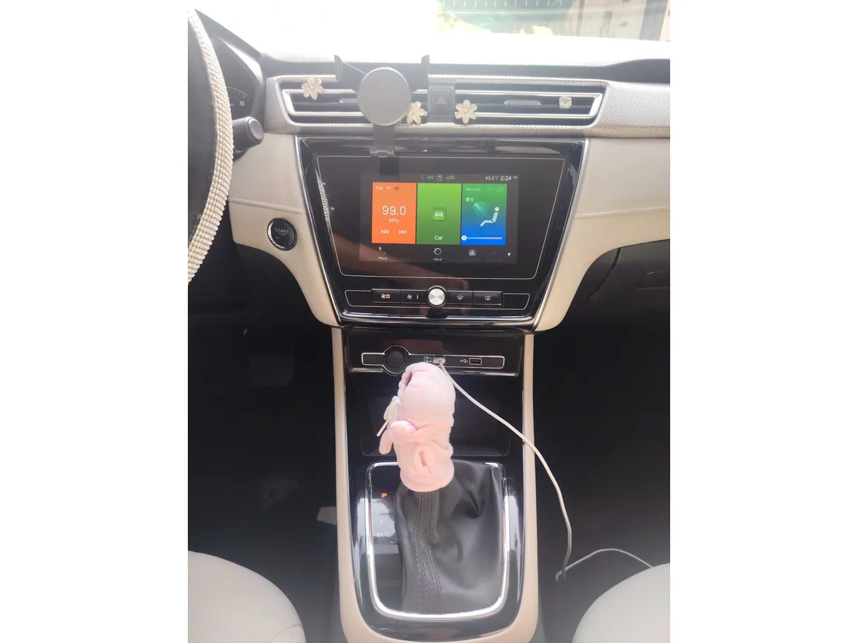 Car image 21
