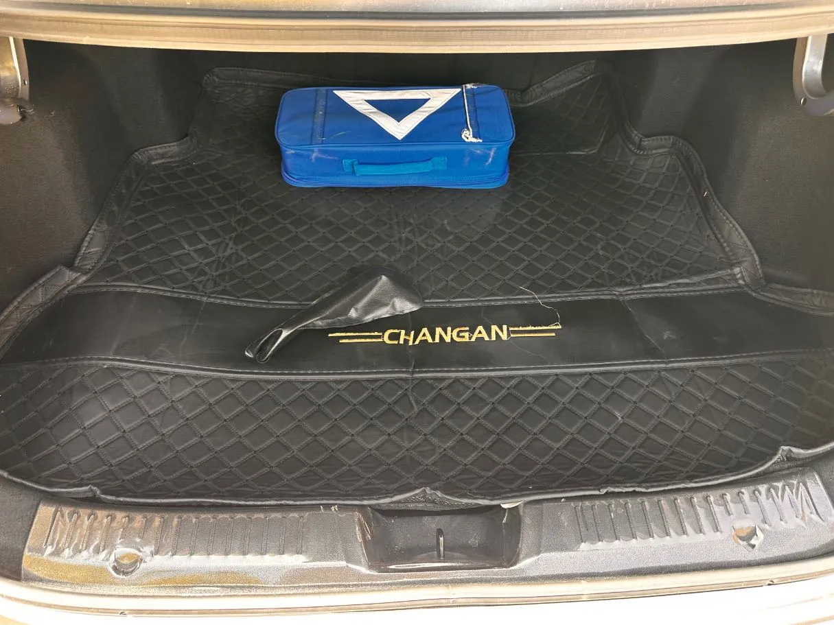 Car image 23