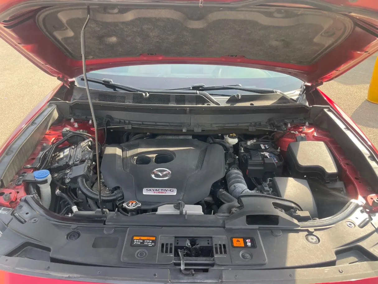 Car image 26