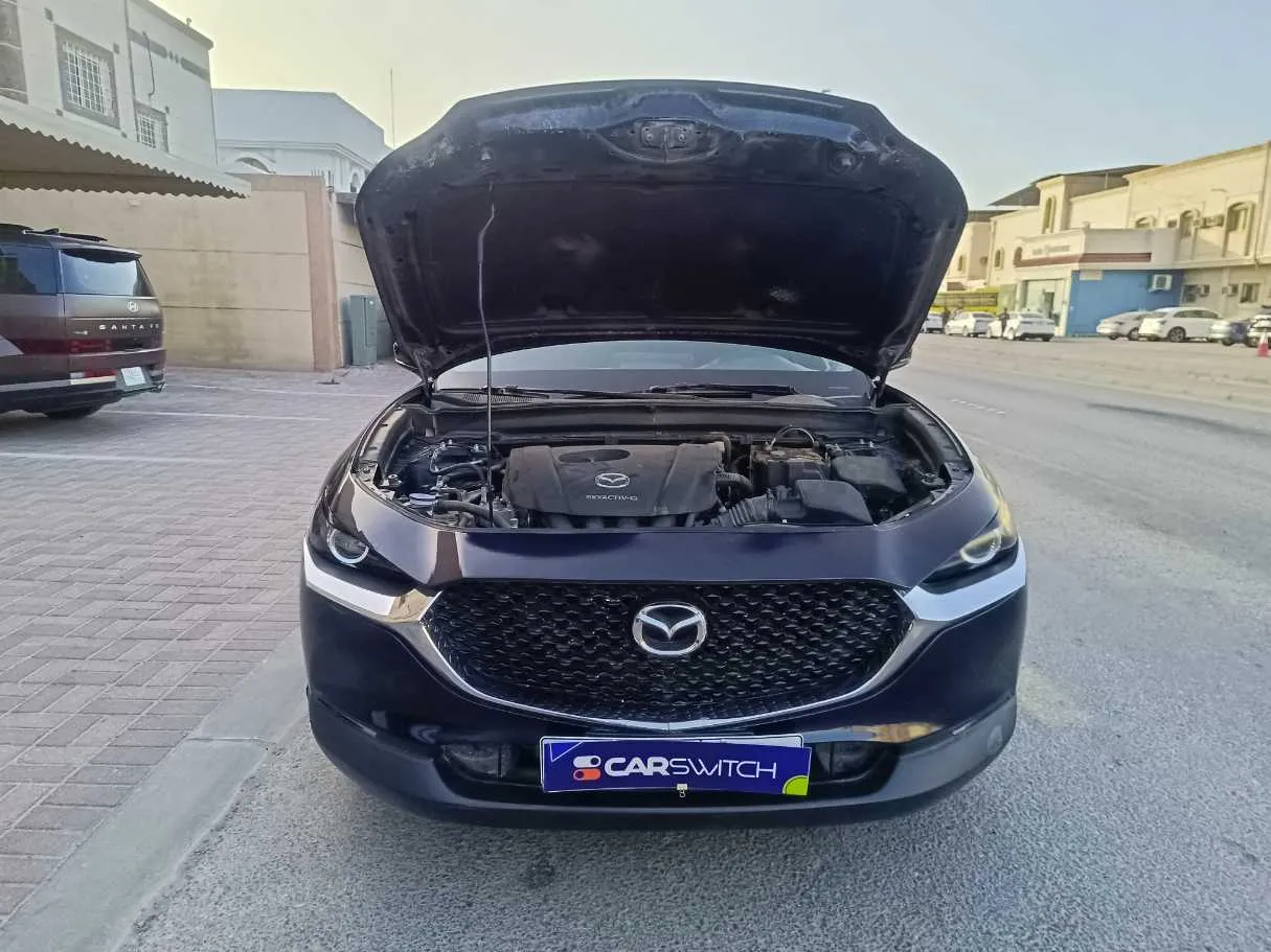 Car image 30