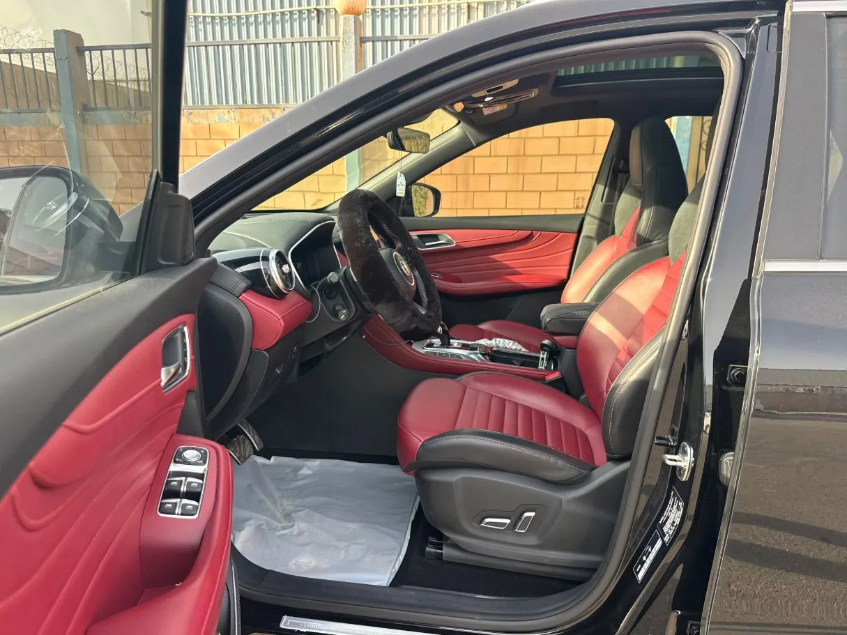 Car image 11
