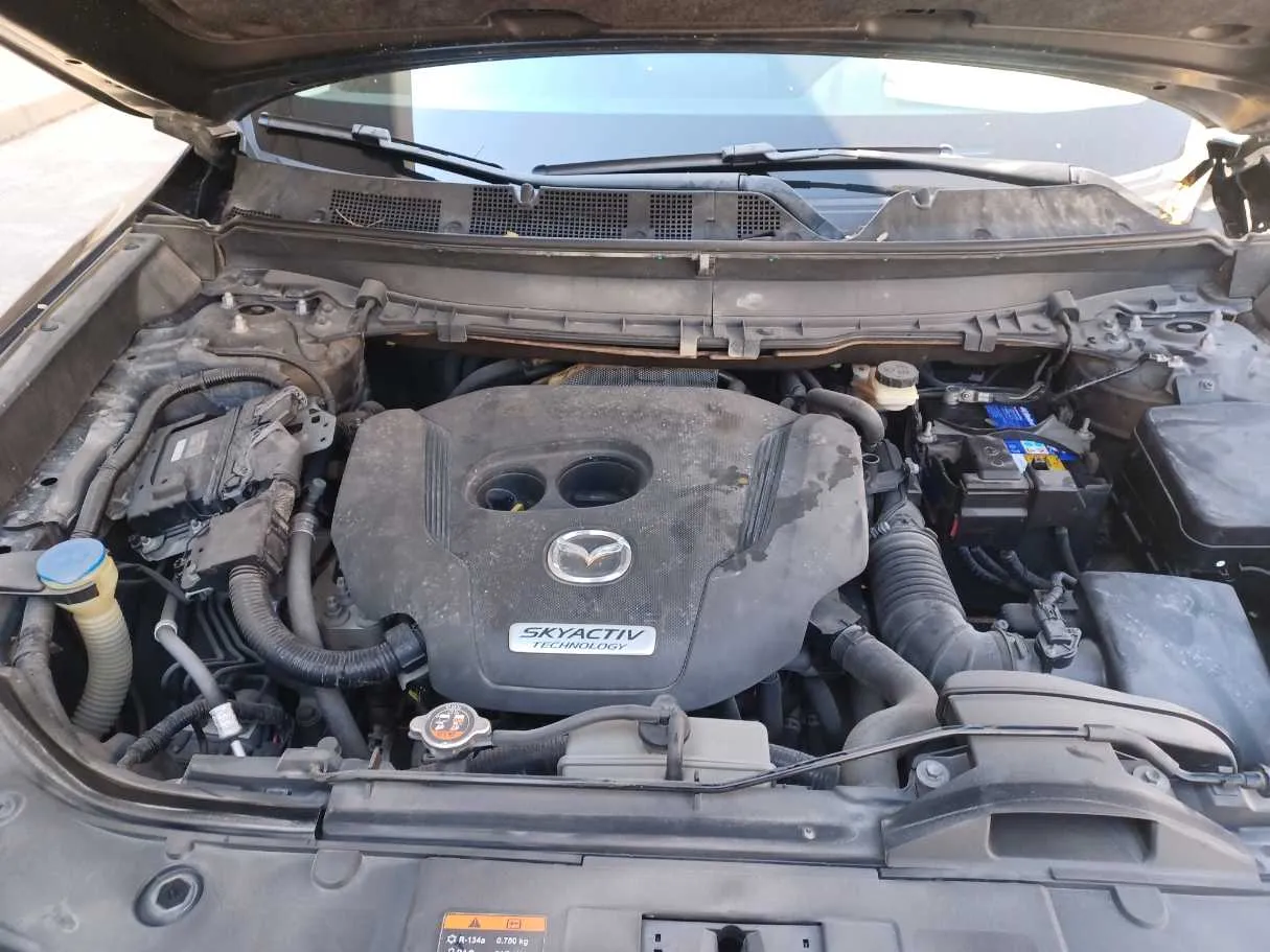 Car image 24