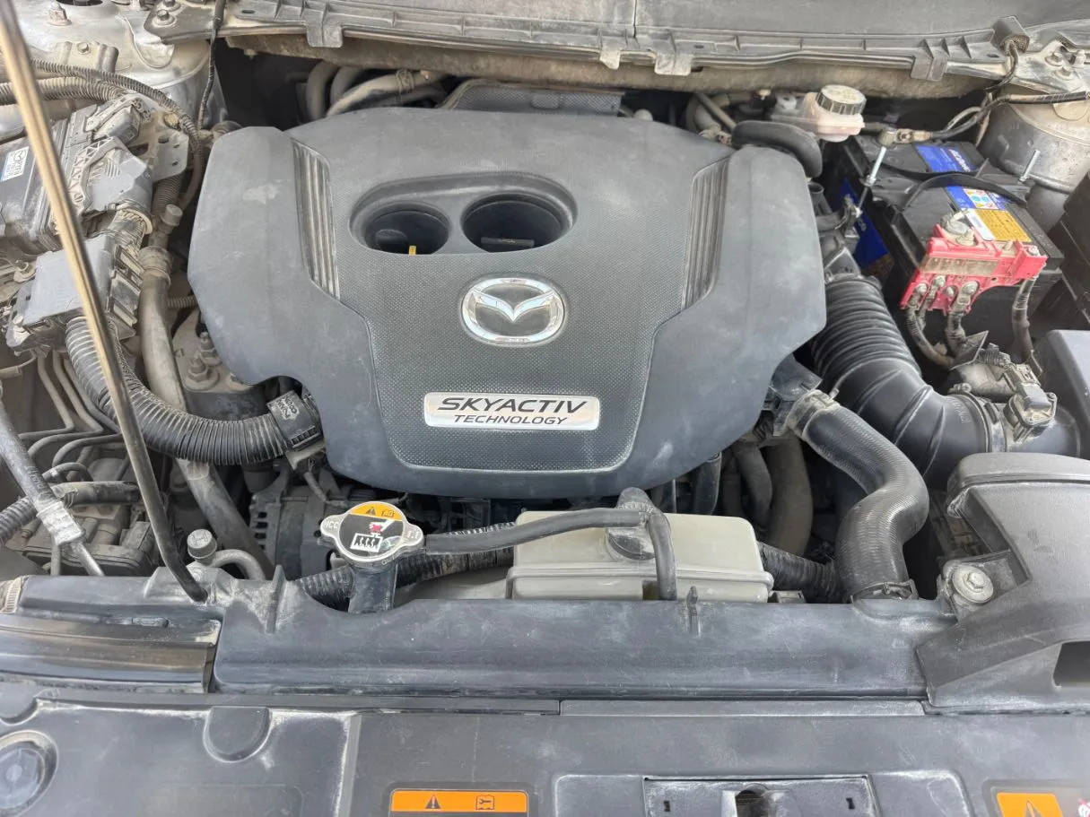 Car image 20