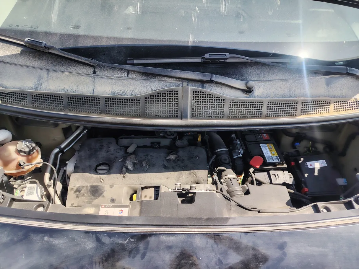 Car image 31