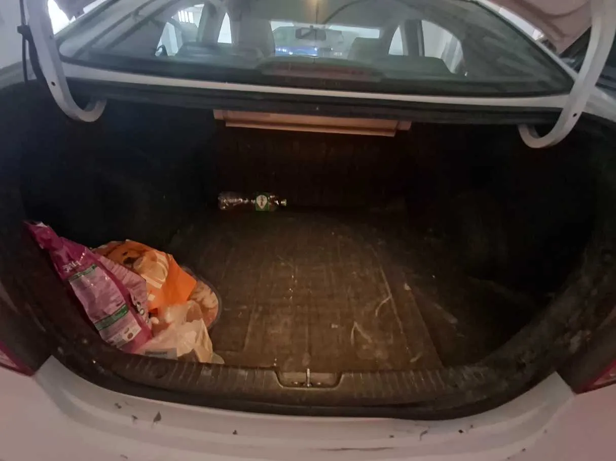 Car image 19