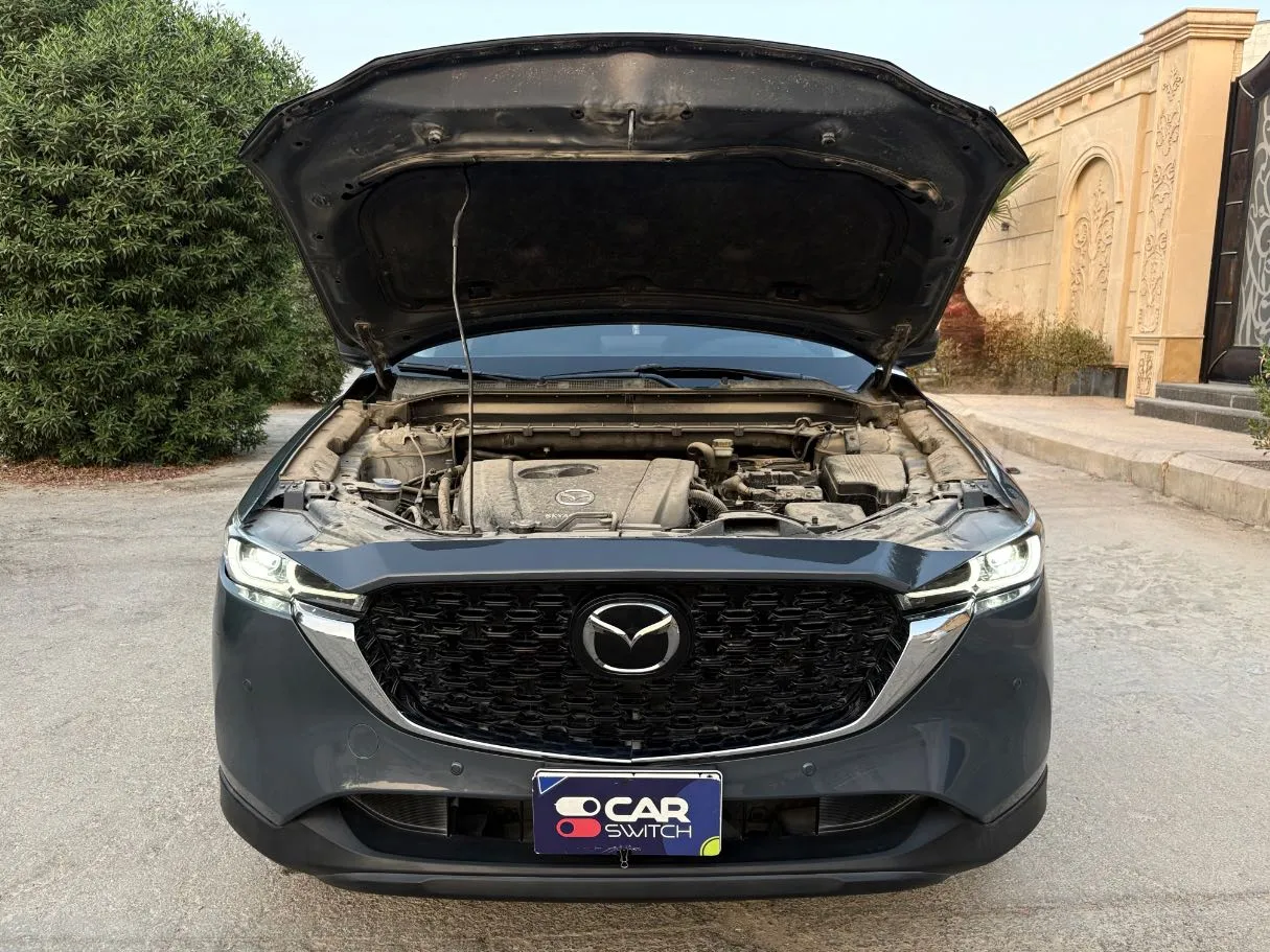 Car image 29