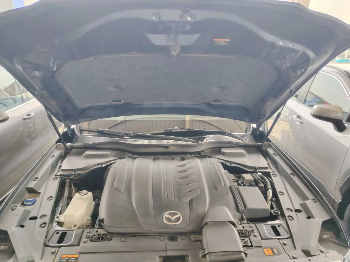 Car image 39