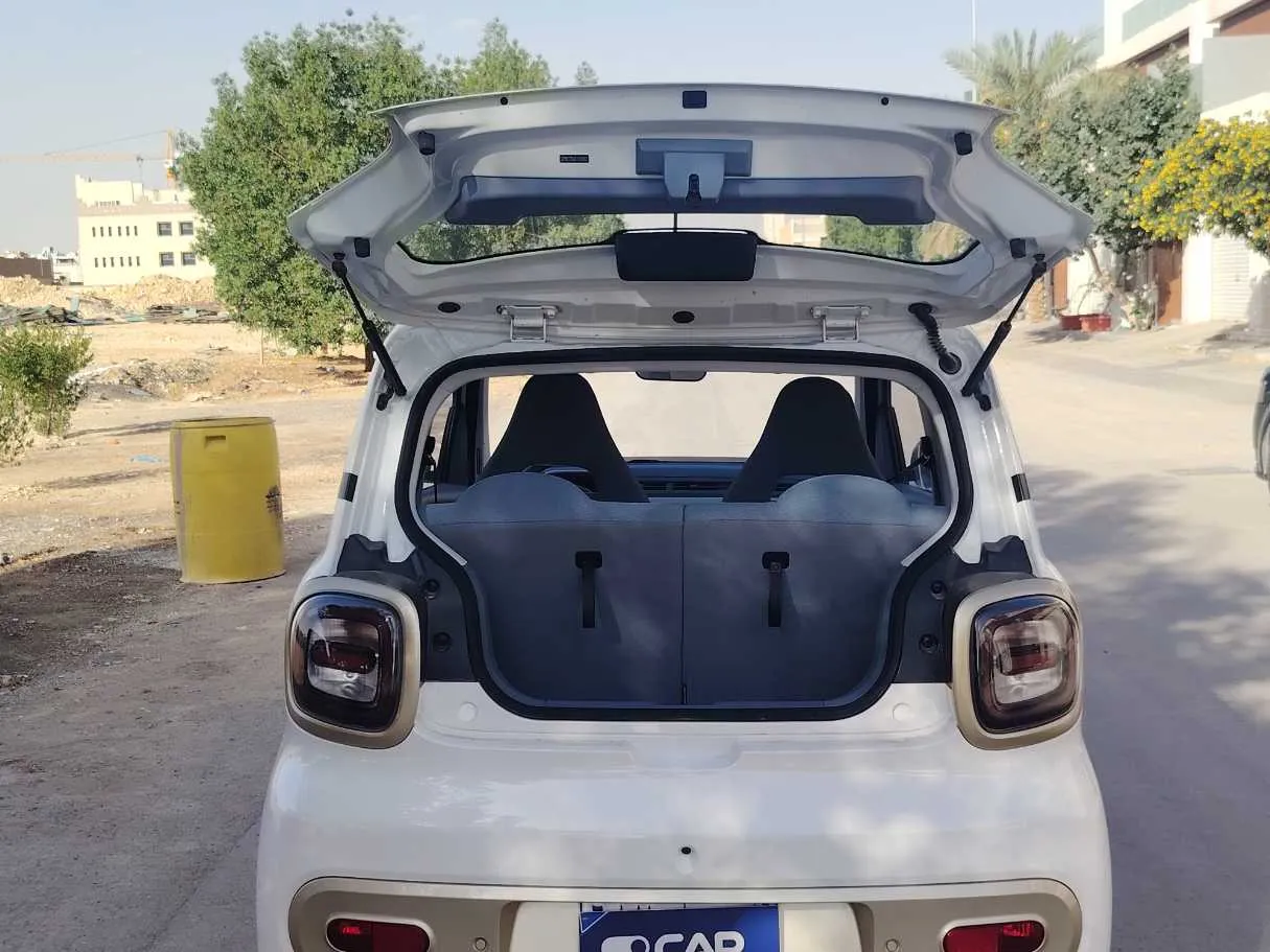 Car image 19