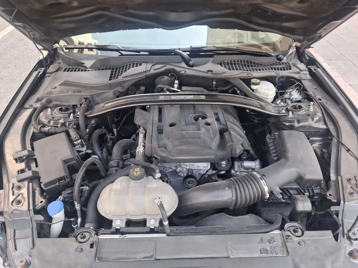 Car image 19