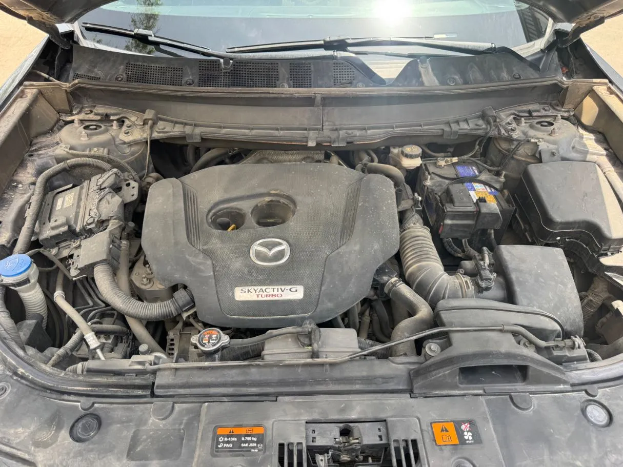 Car image 20