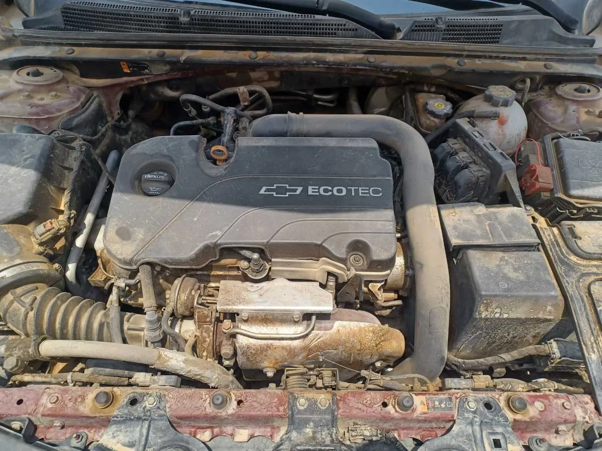 Car image 19