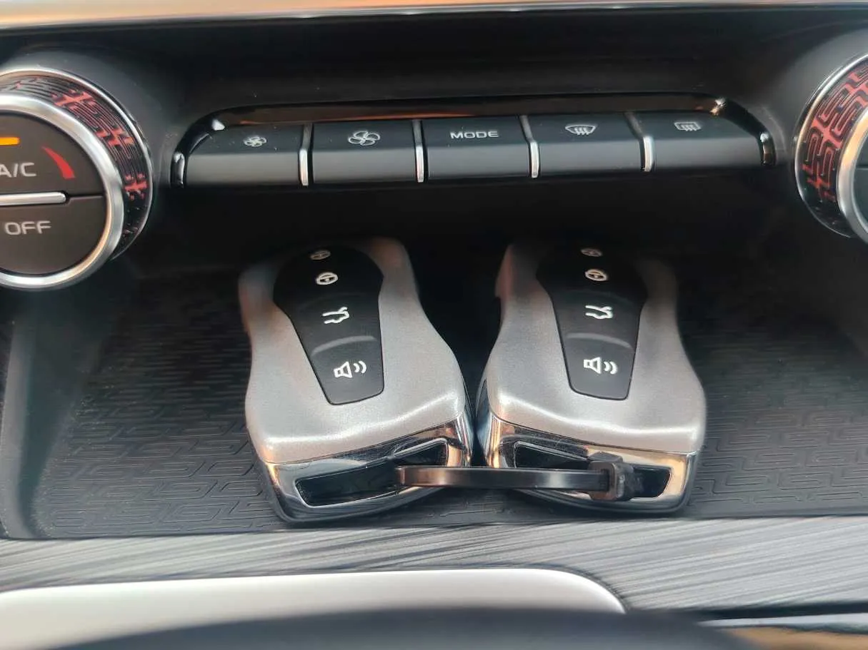 Car image 30