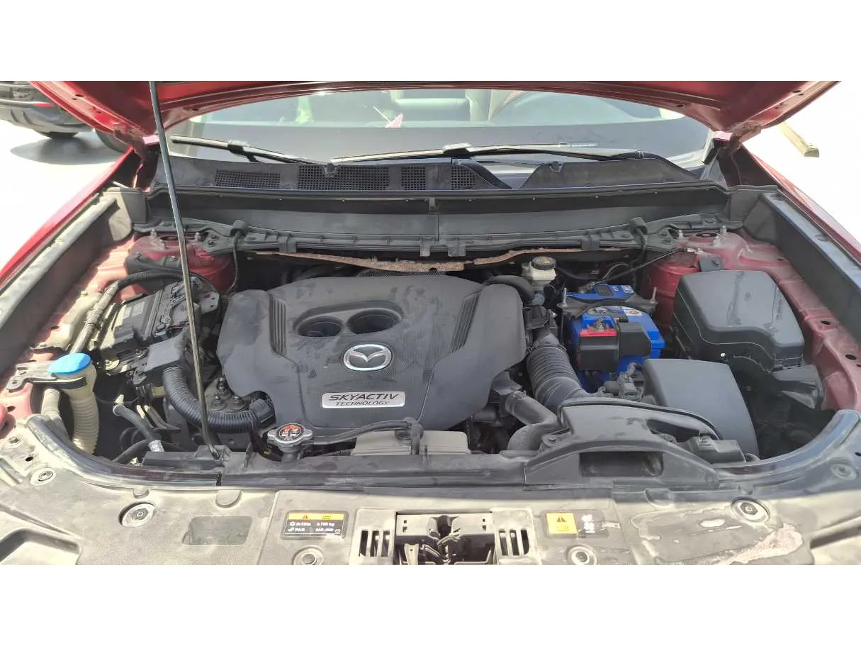 Car image 19