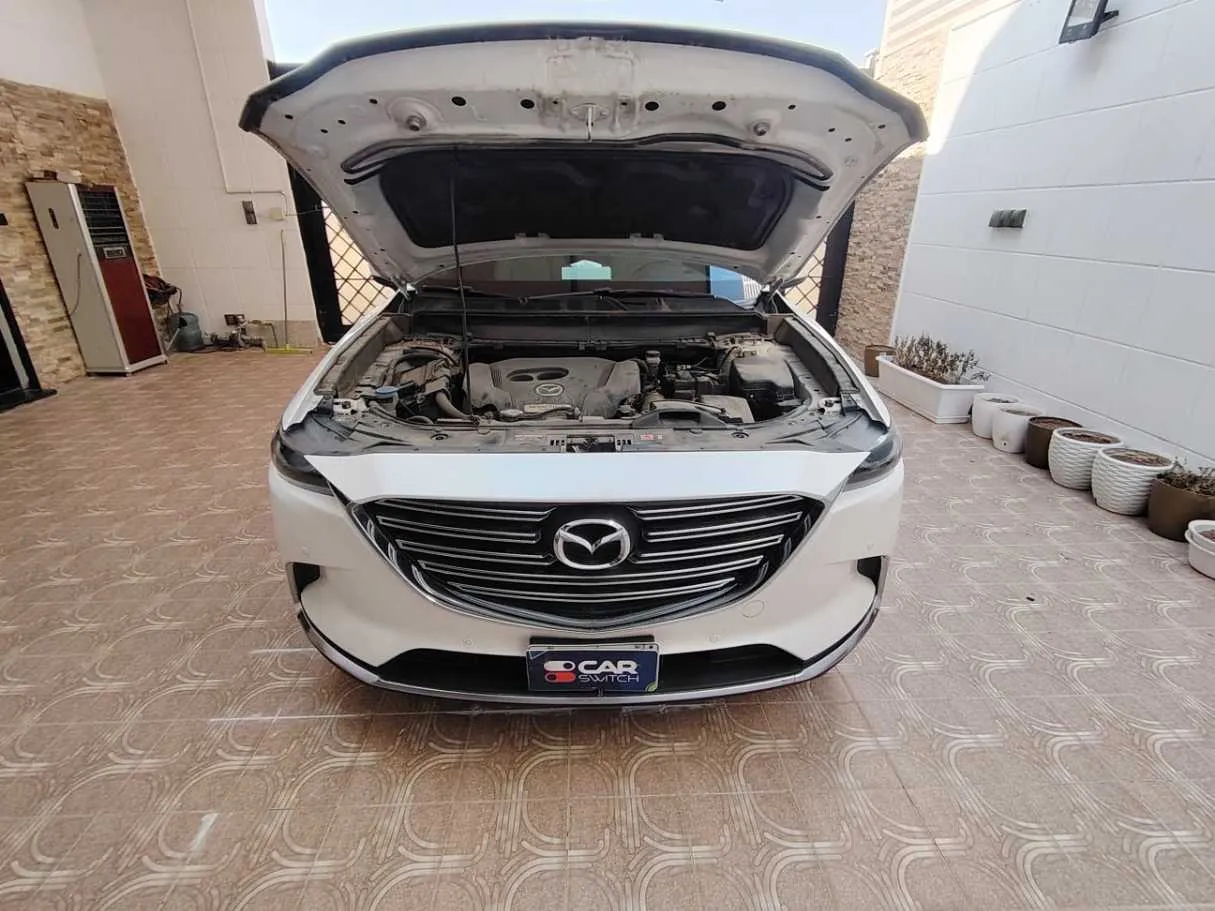 Car image 30