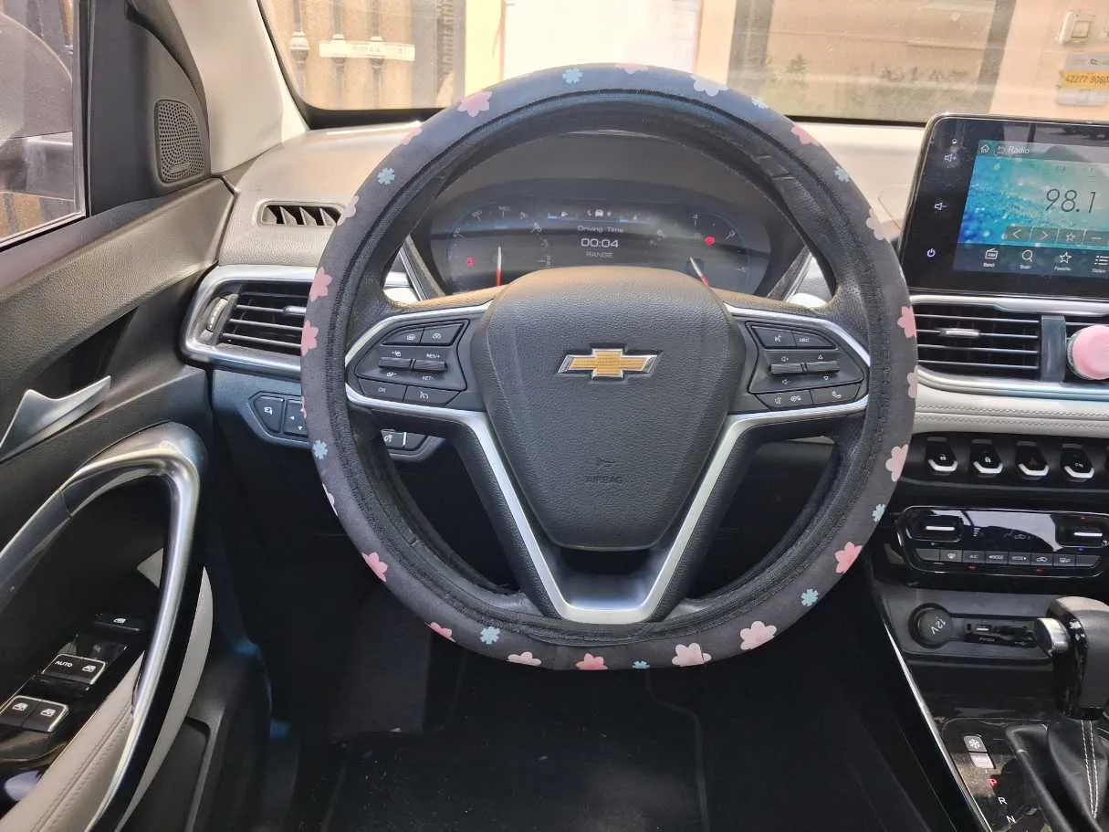 Car image 19